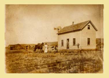 Homestead