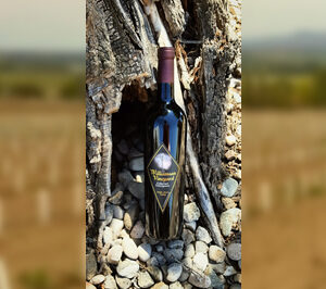2012 Cabernet Sauvignon